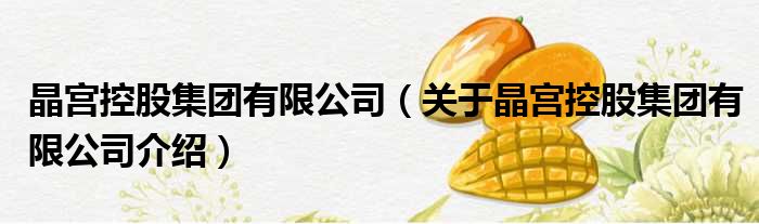 晶宫控股集团有限公司 关于晶宫控股集团有限公司介绍