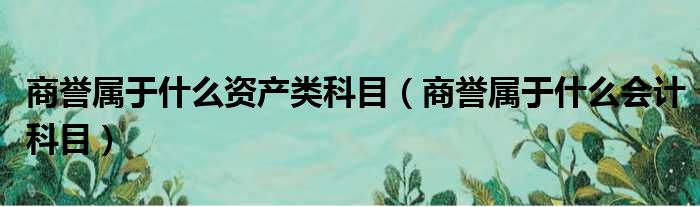 商誉属于什么资产类科目 商誉属于什么会计科目