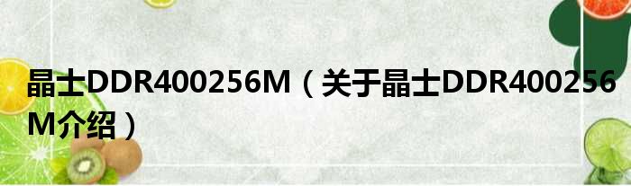 晶士DDR400256M 关于晶士DDR400256M介绍