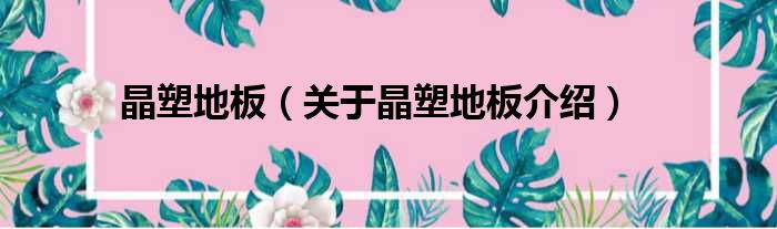 晶塑地板 关于晶塑地板介绍