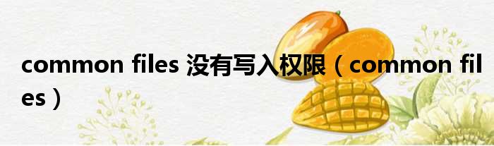 common files 没有写入权限 common files