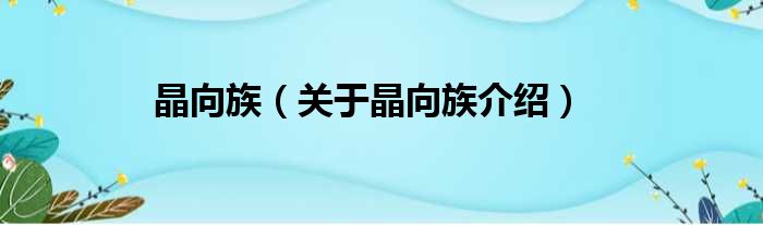 晶向族 关于晶向族介绍