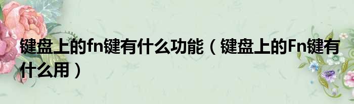 键盘上的fn键有什么功能 键盘上的Fn键有什么用