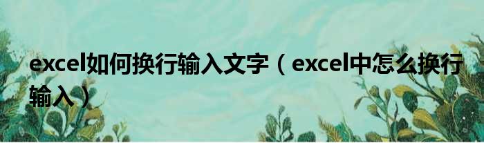 excel如何换行输入文字 excel中怎么换行输入