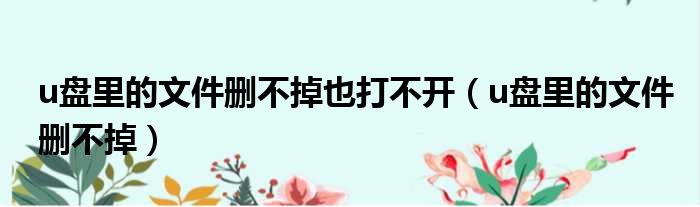 u盘里的文件删不掉也打不开 u盘里的文件删不掉