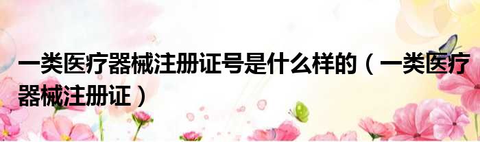 一类医疗器械注册证号是什么样的 一类医疗器械注册证