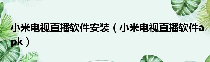 小米电视直播软件安装 小米电视直播软件apk