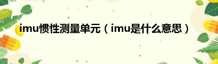 imu惯性测量单元 imu是什么意思