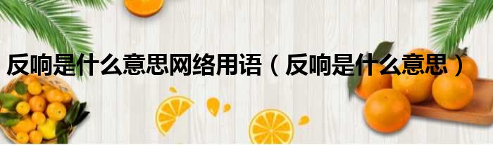 反响是什么意思网络用语 反响是什么意思