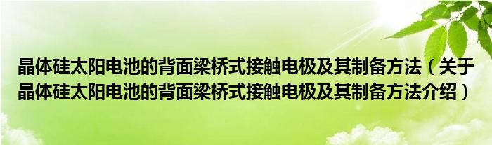 晶体硅太阳电池的背面梁桥式接触电极及其制备方法 关于晶体硅太阳电池的背面梁桥式接触电极及其制备方法介绍