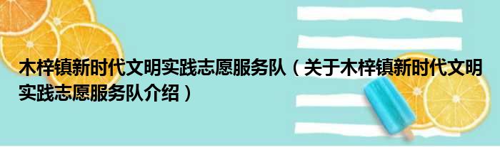 木梓镇新时代文明实践志愿服务队 关于木梓镇新时代文明实践志愿服务队介绍