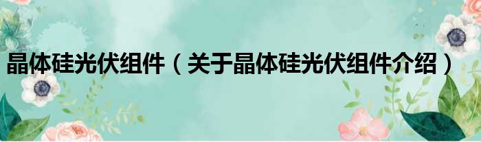 晶体硅光伏组件 关于晶体硅光伏组件介绍