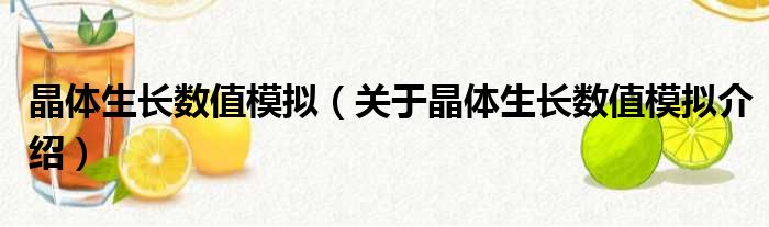 晶体生长数值模拟 关于晶体生长数值模拟介绍