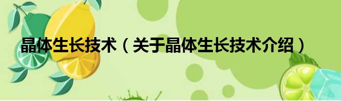 晶体生长技术 关于晶体生长技术介绍
