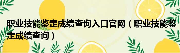 职业技能鉴定成绩查询入口官网 职业技能鉴定成绩查询