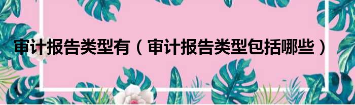 审计报告类型有 审计报告类型包括哪些