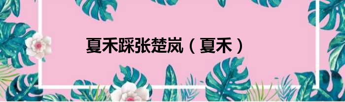 夏禾踩张楚岚 夏禾