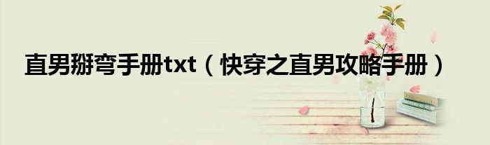 直男掰弯手册txt 快穿之直男攻略手册