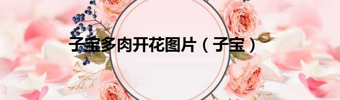 子宝多肉开花图片 子宝