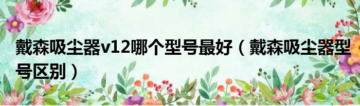 戴森吸尘器v12哪个型号最好 戴森吸尘器型号区别