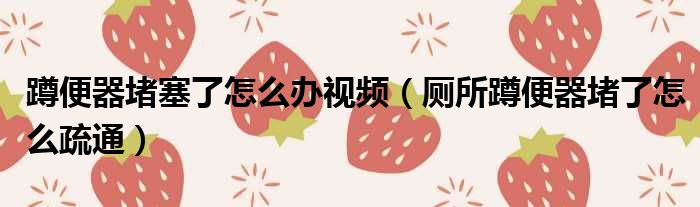 蹲便器堵塞了怎么办视频 厕所蹲便器堵了怎么疏通