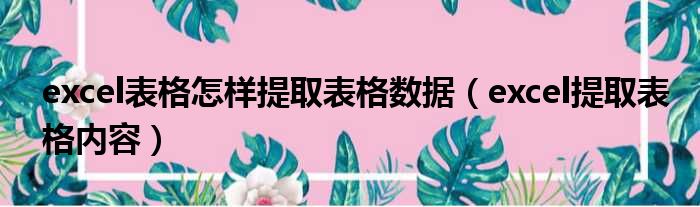 excel表格怎样提取表格数据 excel提取表格内容