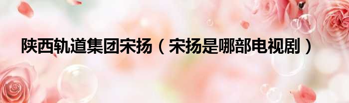 陕西轨道集团宋扬 宋扬是哪部电视剧