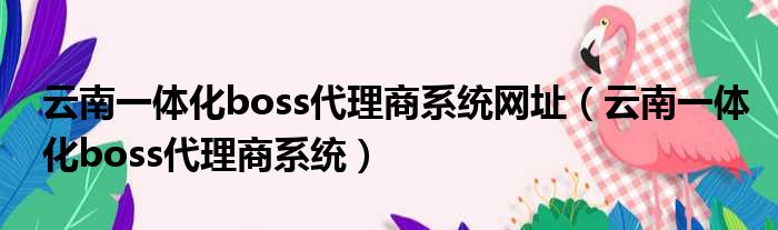 云南一体化boss代理商系统网址 云南一体化boss代理商系统