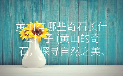 黄山有哪些奇石长什么样子 (黄山的奇石，探寻自然之美、品味艺术之美、感受人文之美的绝佳场所)
