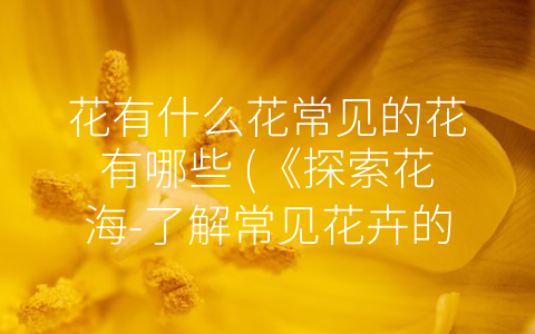 花有什么花常见的花有哪些 (《探索花海-了解常见花卉的背景与寓意》)