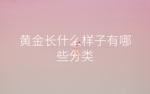 黄金长什么样子有哪些分类