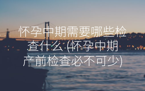 怀孕中期需要哪些检查什么 (怀孕中期产前检查必不可少)
