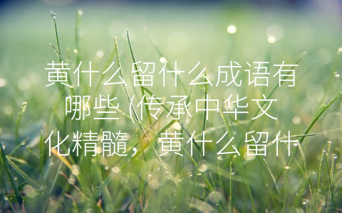 黄什么留什么成语有哪些 (传承中华文化精髓，黄什么留什么成语)