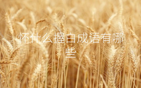 怀什么握白成语有哪些