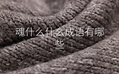 魂什么什么成语有哪些