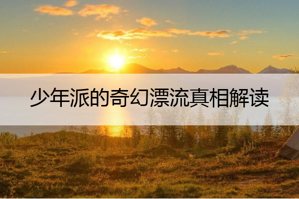 少年派的奇幻漂流真相解读 少年派的奇幻漂流哪个故事是真的?