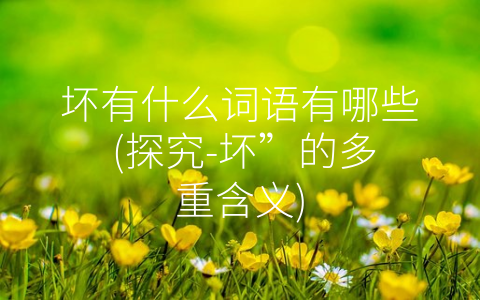 坏有什么词语有哪些 (探究-坏”的多重含义)