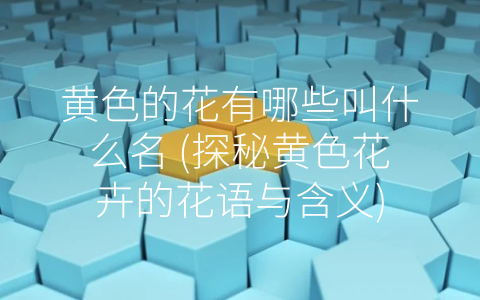 黄色的花有哪些叫什么名 (探秘黄色花卉的花语与含义)