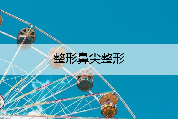 整形鼻尖整形 鼻骨整形