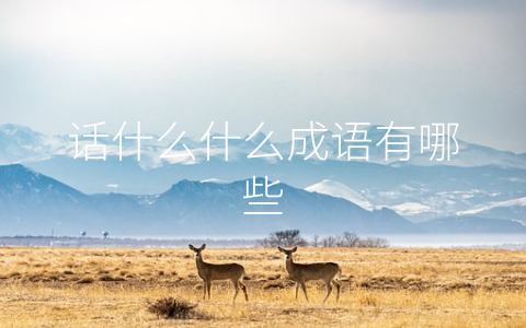 话什么什么成语有哪些