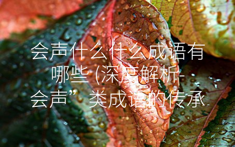 会声什么什么成语有哪些 (深度解析-会声”类成语的传承和创新)