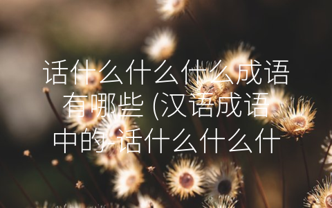 话什么什么什么成语有哪些 (汉语成语中的-话什么什么什么”)