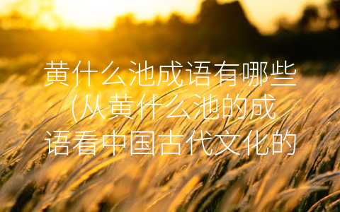 黄什么池成语有哪些 (从黄什么池的成语看中国古代文化的博大精深)