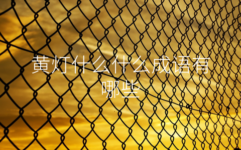 黄灯什么什么成语有哪些