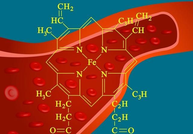 红肉 vs 白肉,有什么区别?哪一种更健康一些图4