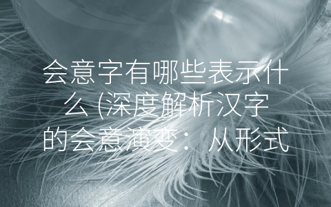 会意字有哪些表示什么 (深度解析汉字的会意演变：从形式到内涵)