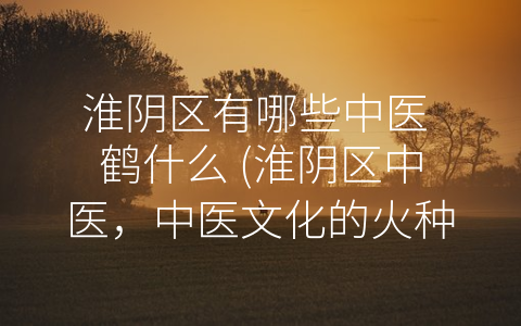淮阴区有哪些中医 鹤什么 (淮阴区中医，中医文化的火种)
