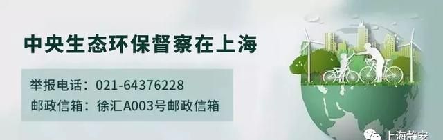 冰箱里放什么菜不容易坏图2