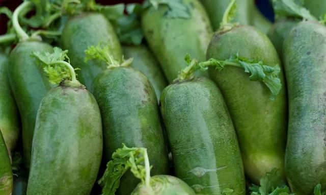 冰箱里放什么菜不容易坏图10