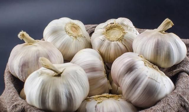 冰箱里放什么菜不容易坏图11